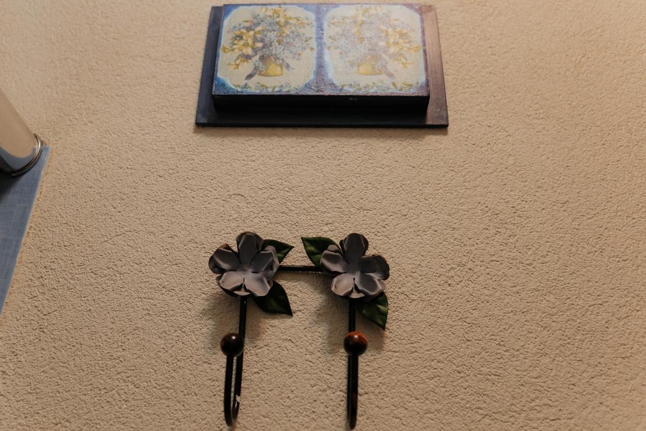 Hotel Pousada Chale Das Flores Sertãozinho 외부 사진
