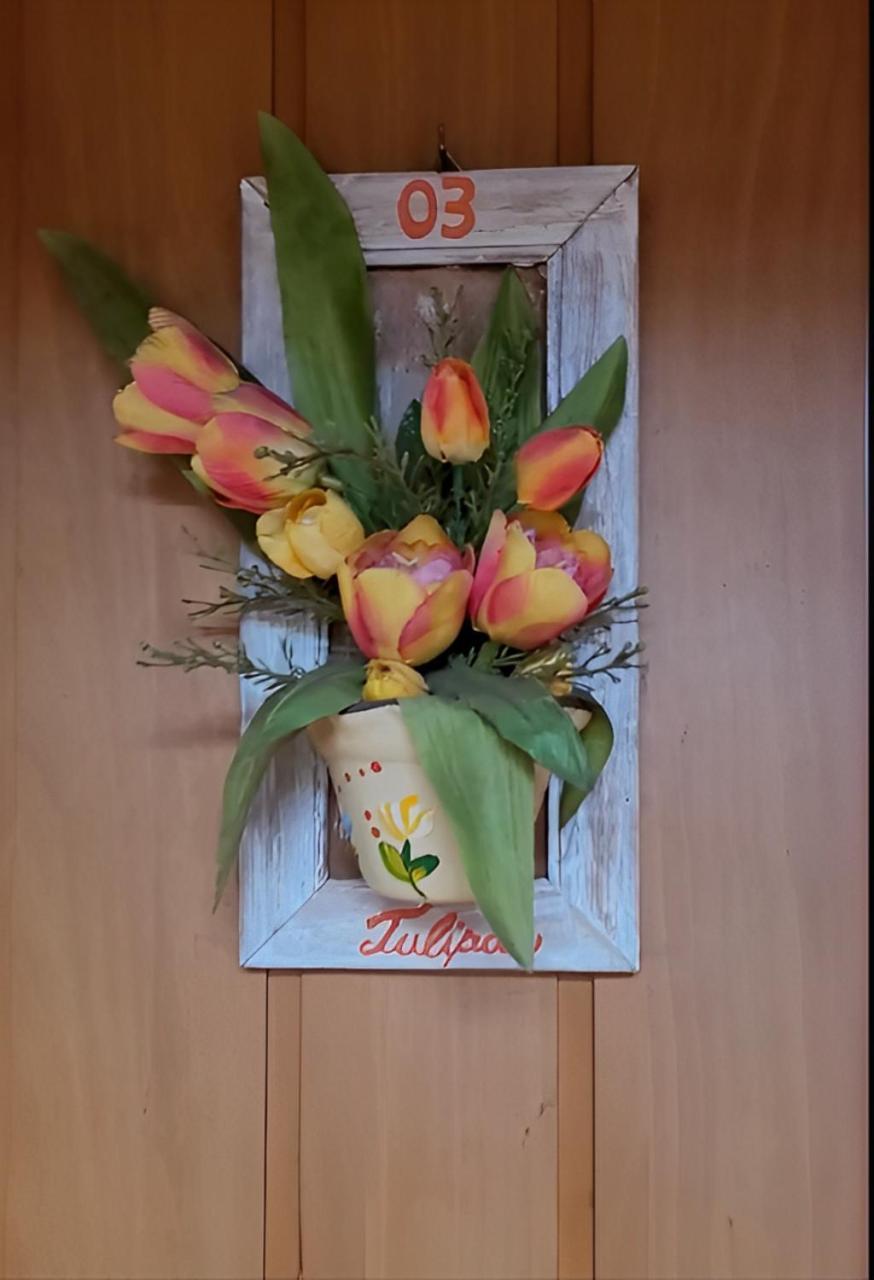 Hotel Pousada Chale Das Flores Sertãozinho 외부 사진